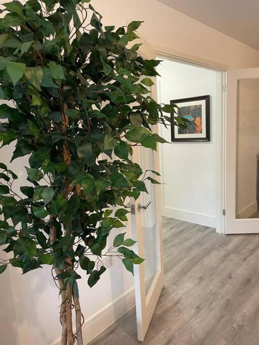 Stunning And Spacious 2Bed Flat In Central 沃金 外观 照片